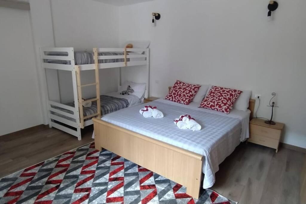 דירות קלוזונה Dream House מראה חיצוני תמונה